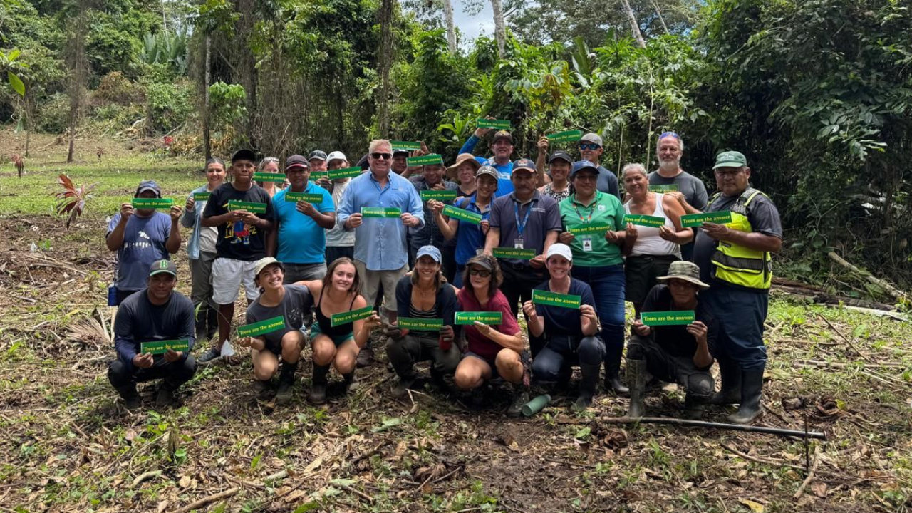 Fifty Volunteers, Six Nations, One Thousand Trees - volunteertourism.org
